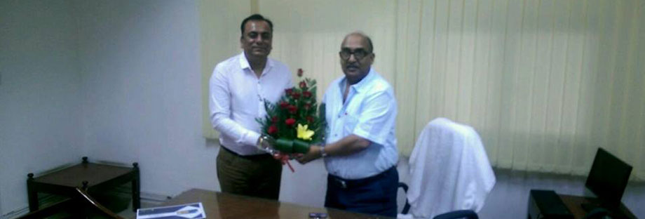 Alterna 8 Retina-Ready, Responsive Theme