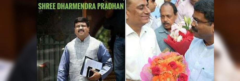 Alterna 8 Retina-Ready, Responsive Theme